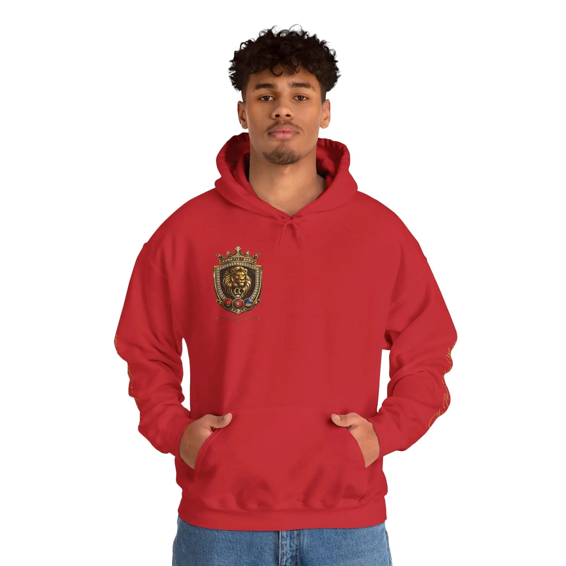 Alpha Lion hoodie Printify