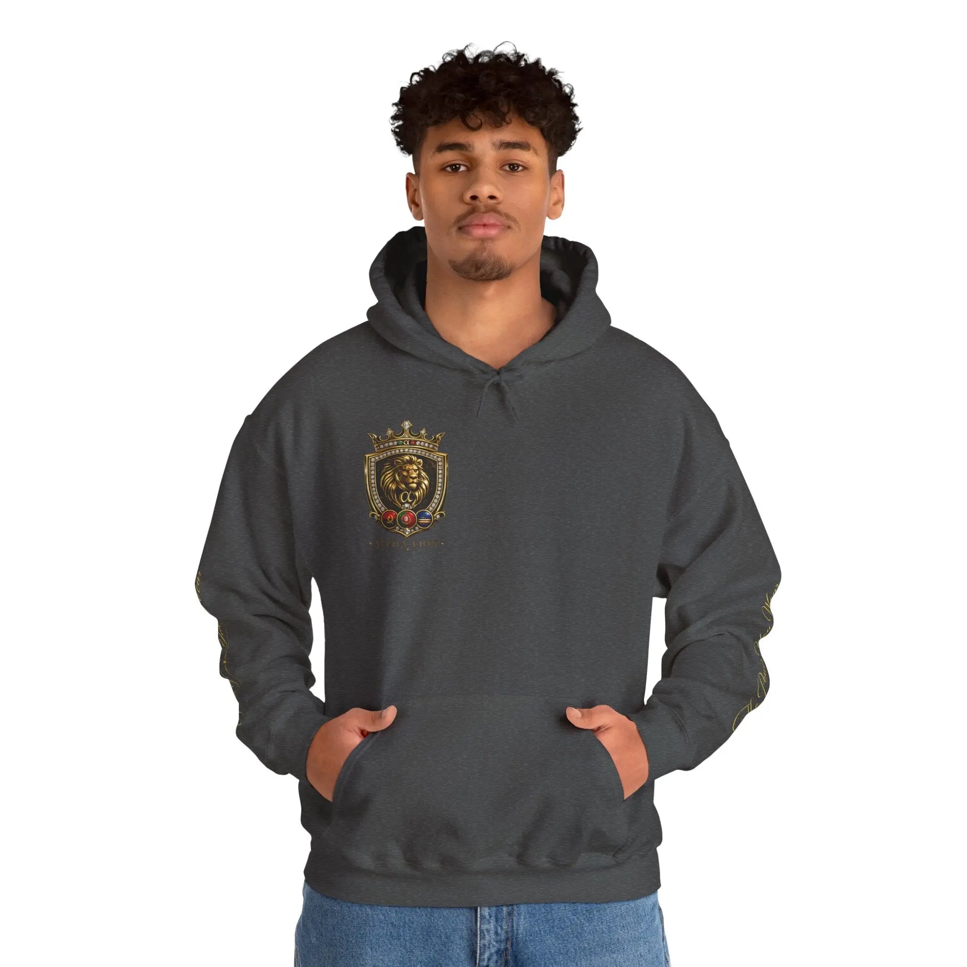 Alpha Lion hoodie Printify
