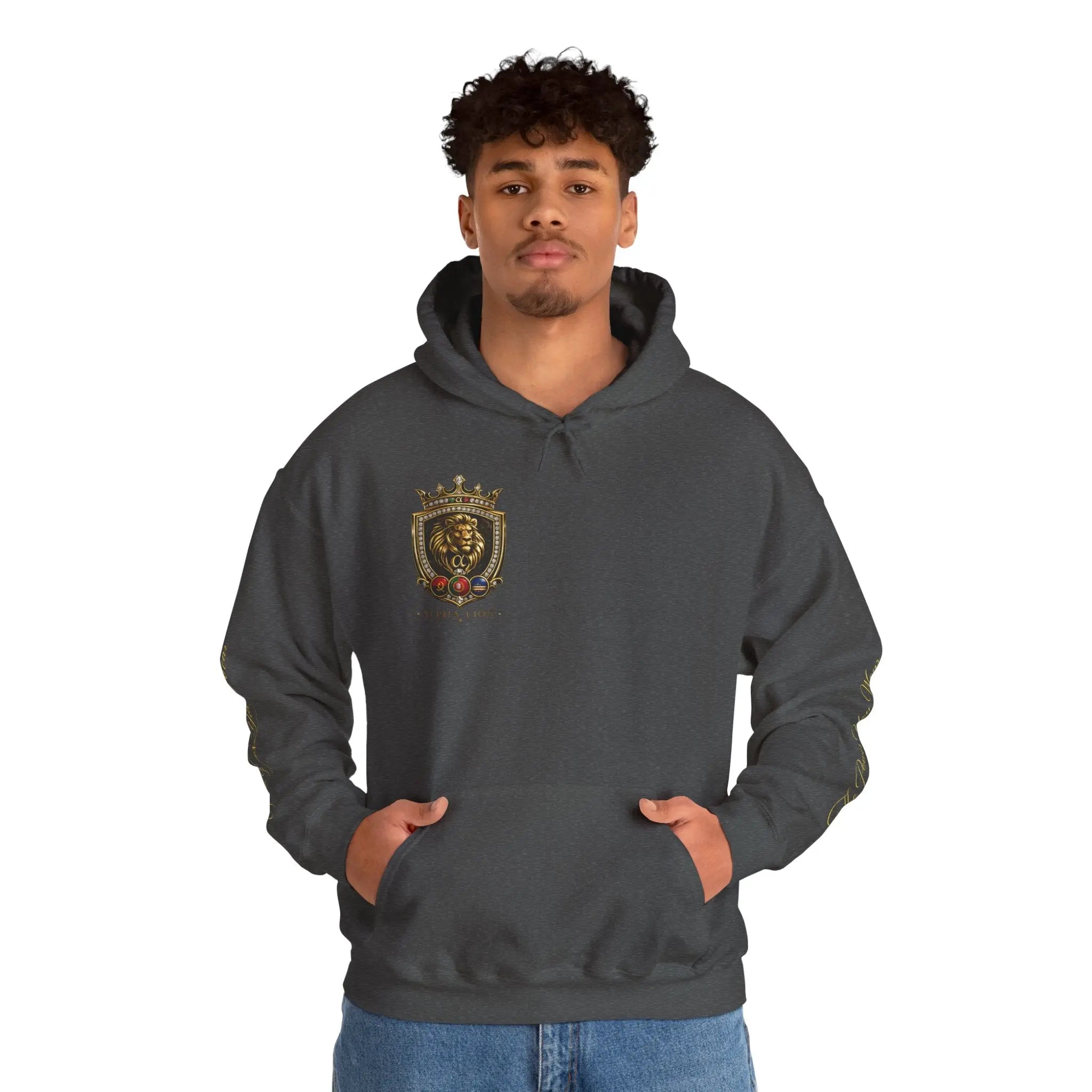 Alpha Lion hoodie Printify